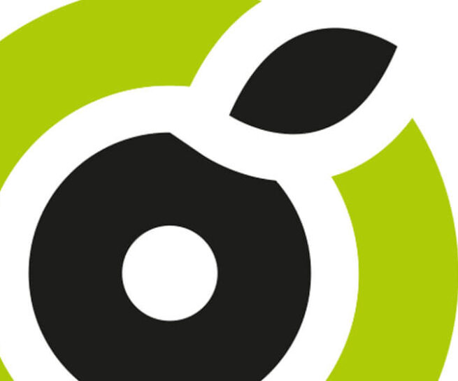 Branding nokidesign